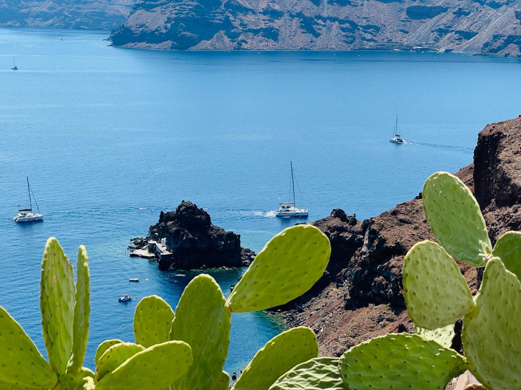 Santoroia Luxury Suites By Caldera Houses الغرفة الصورة